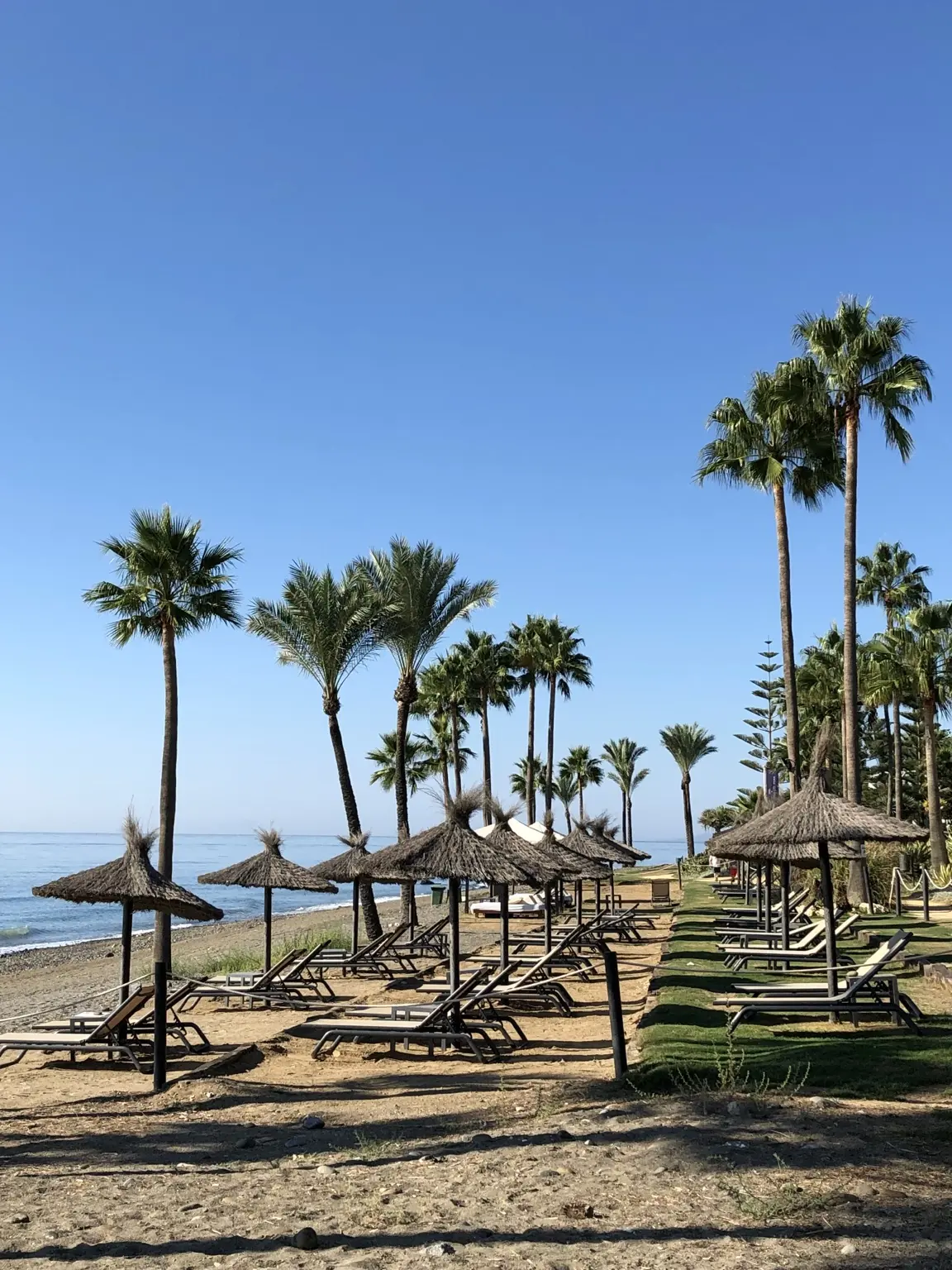 Kempinski Hotel Bahía beach in Estepona with palm trees and loungers by the Mediterranean