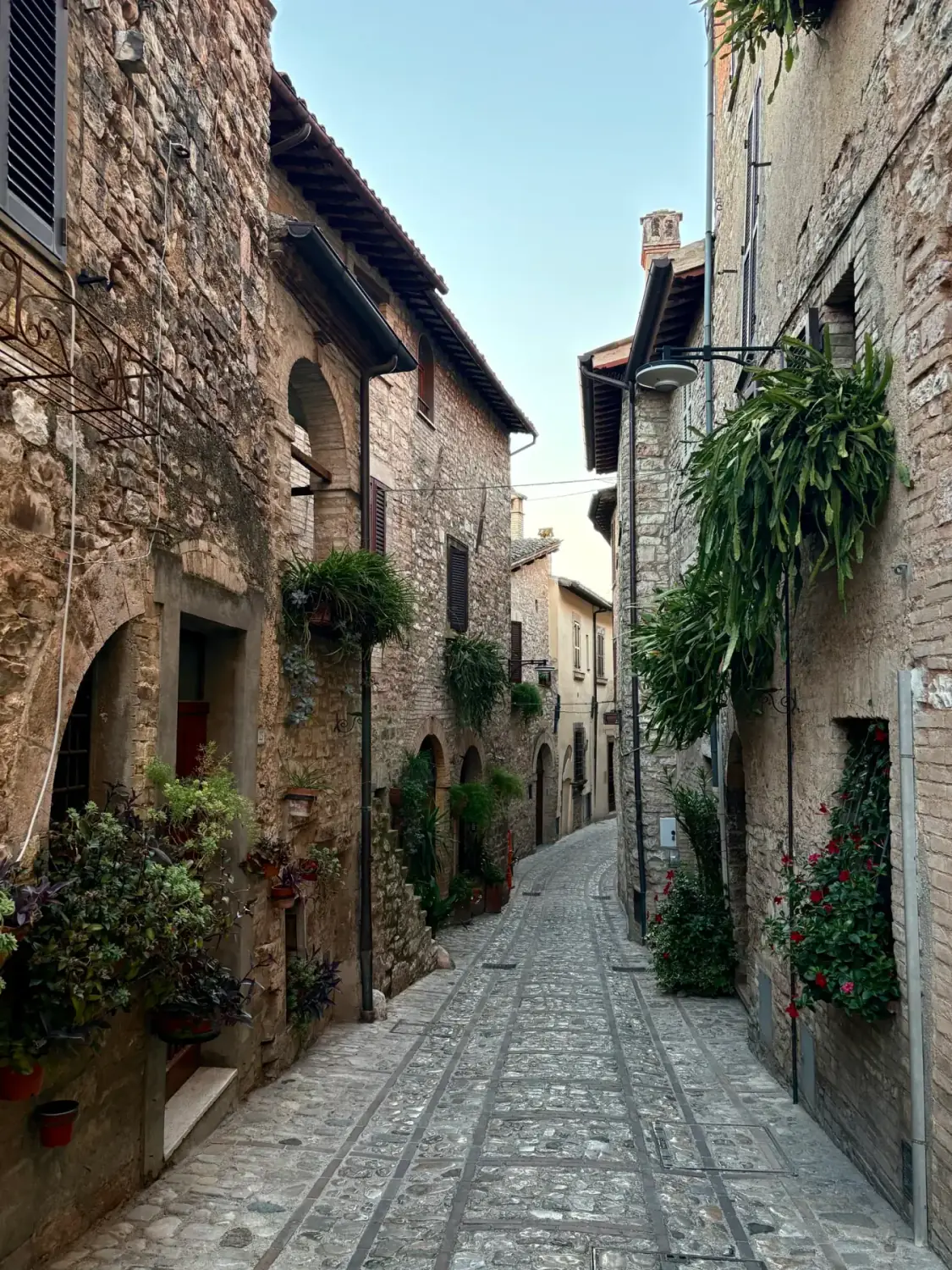 A quiet stone street lined with plants in Spello