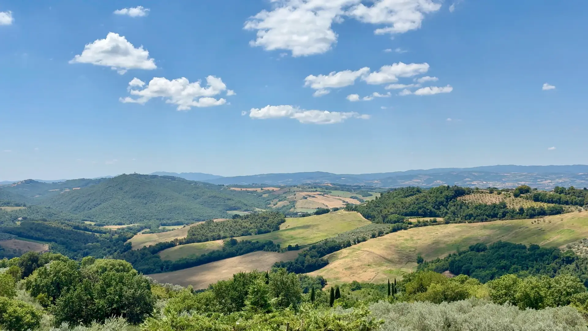 Green Umbrian countryside viewed from Il Canalicchio