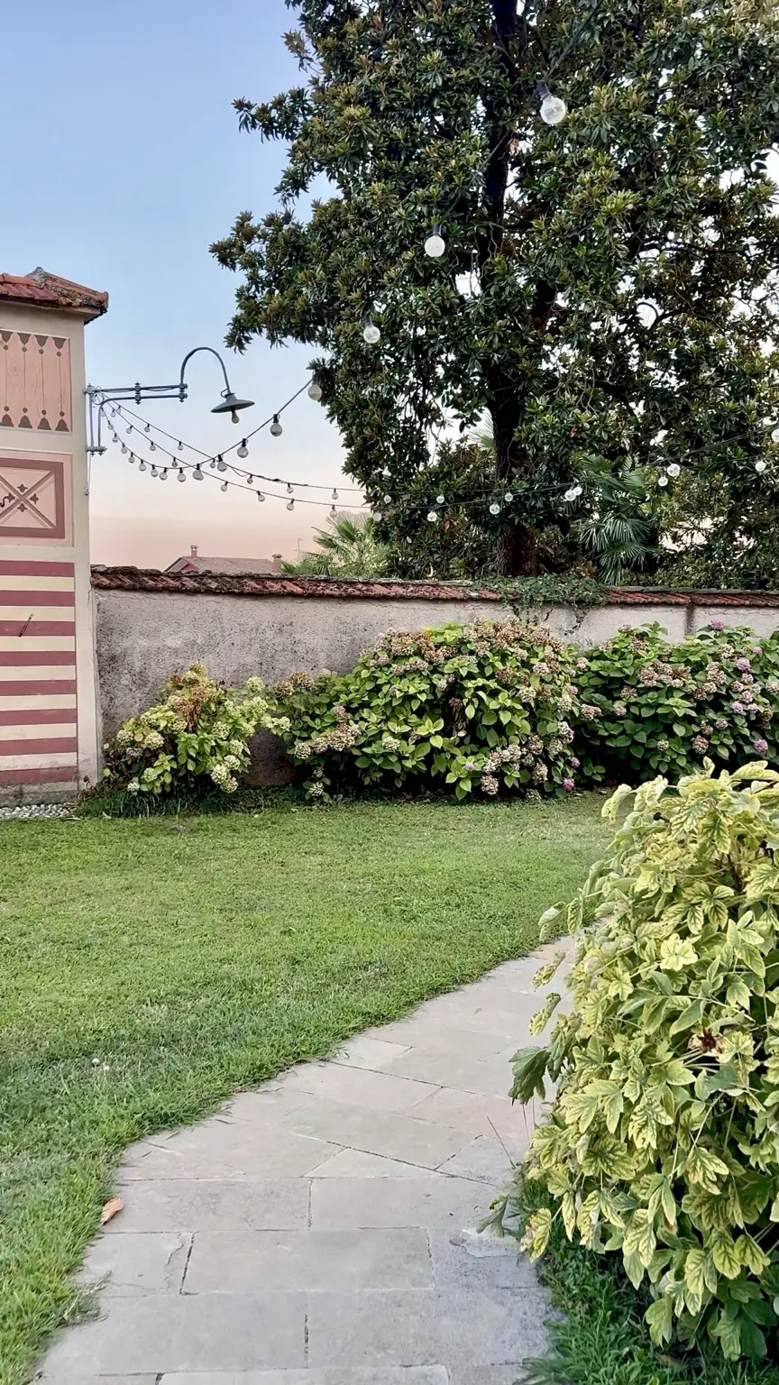 Villa Panigai garden with hydrangeas, trees and strings of lights